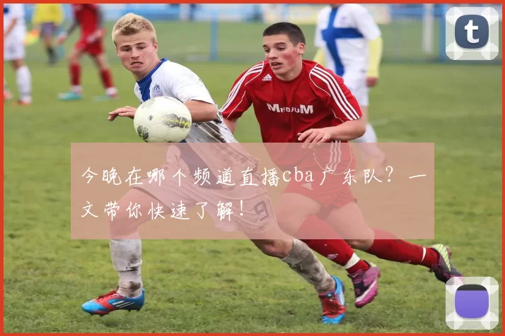 今晚在哪个频道直播cba广东队？一文带你快速了解！