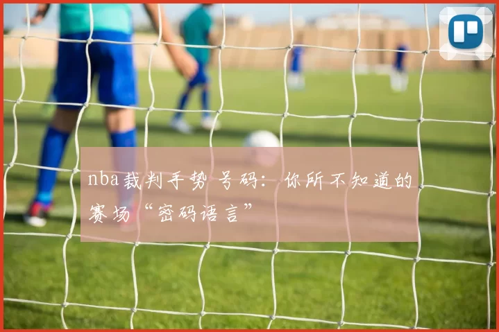 nba裁判手势 号码：你所不知道的赛场“密码语言”